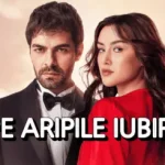 Pe aripile iubirii TV online HD Subtitate in Romana